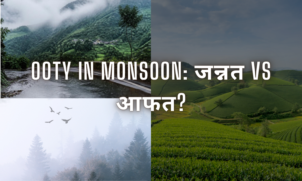 OOty in Monsoon