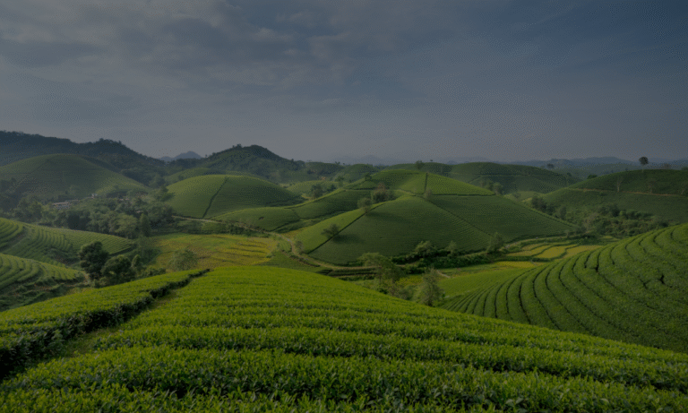 Ooty in Monsoon: जन्नत या आफत?​
